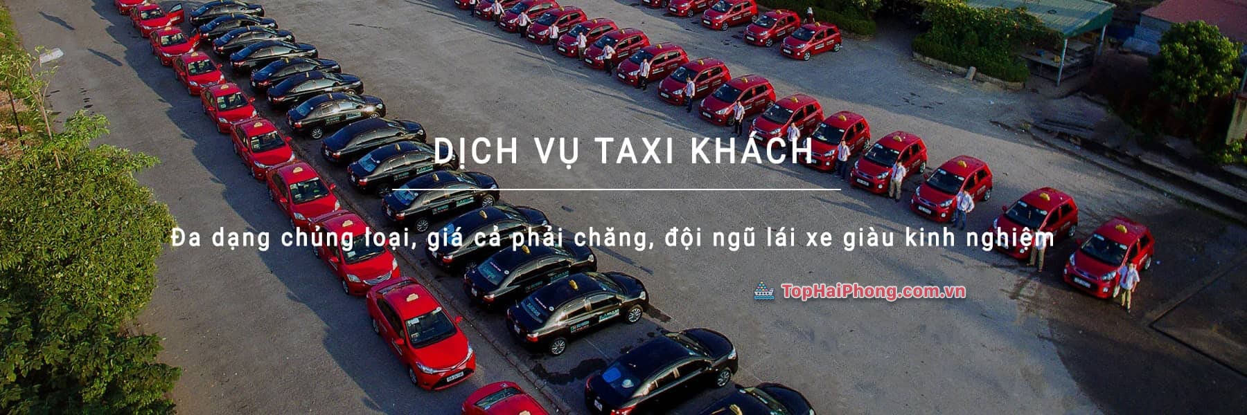 Taxi Hoa Phượng – Đón khách tại mọi nơi