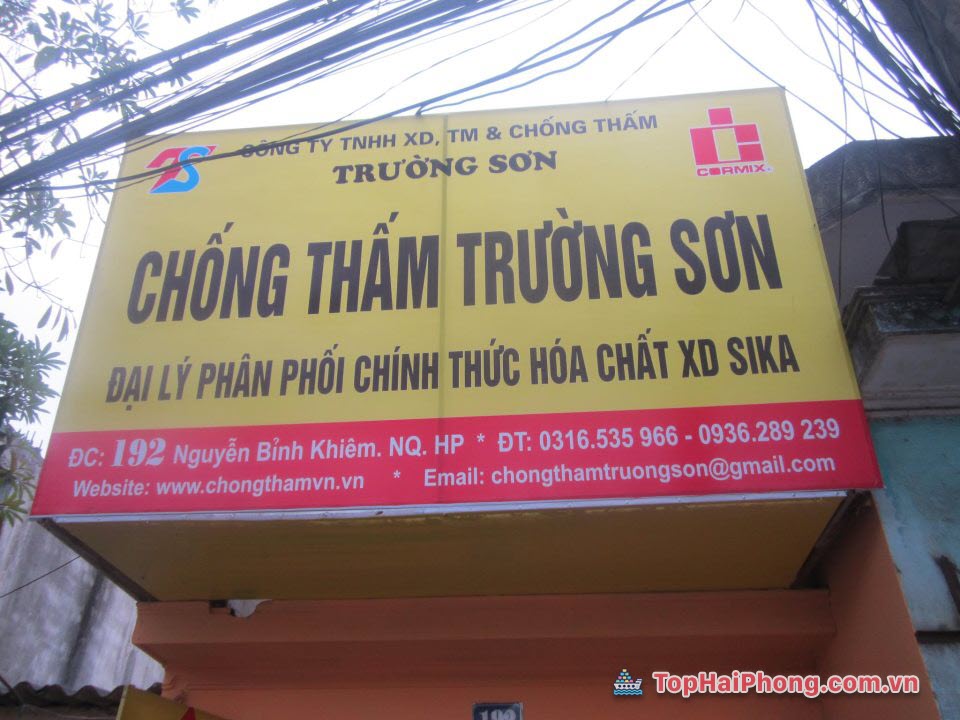 Công Ty TNHH Xây Dựng Thương Mại Và Chống Thấm Trường Sơn