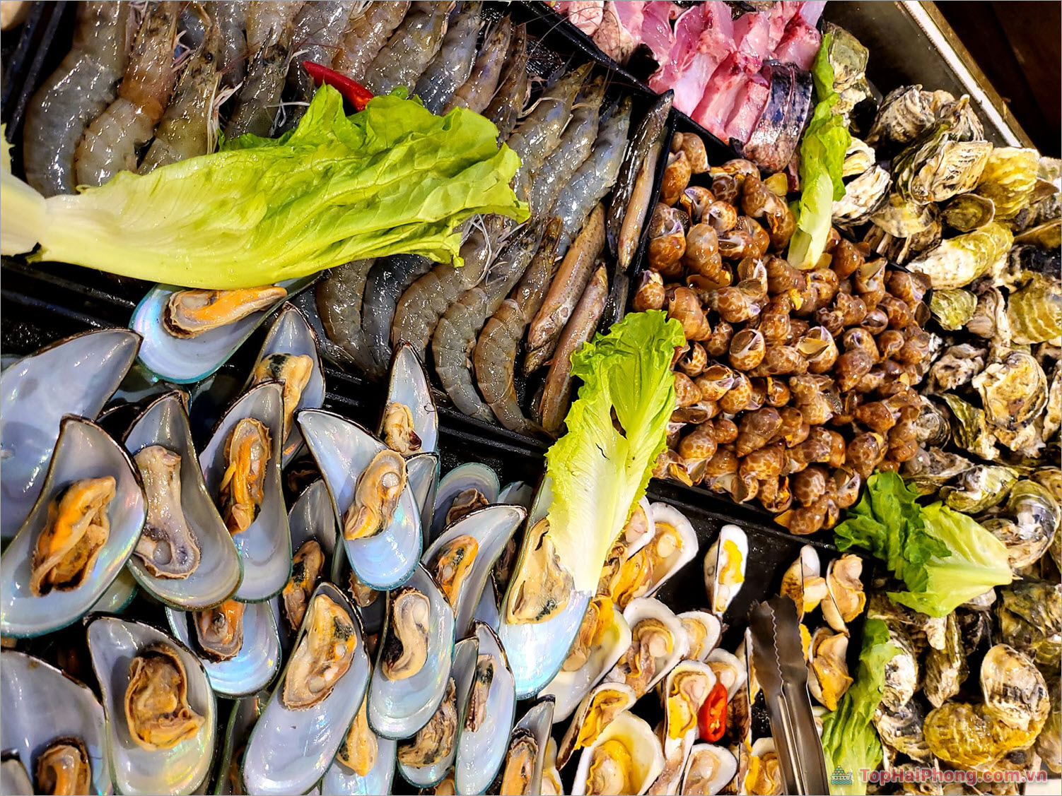 Buffet Hải Sản A.D.A