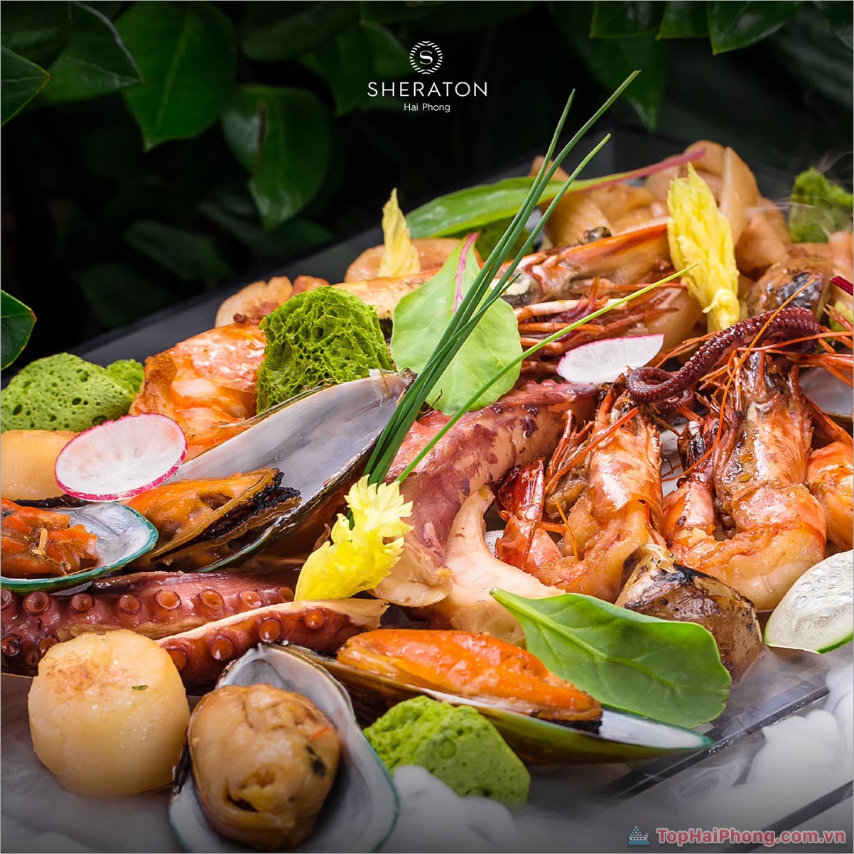 Sheraton Hai Phong – Buffet Hải Sản Thượng Hạng